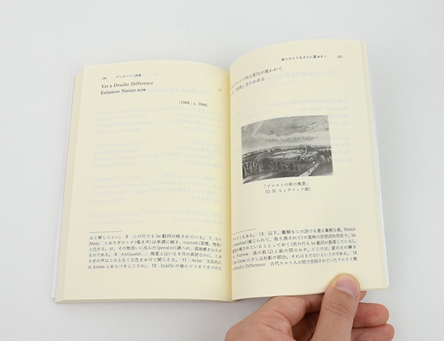 対訳 ディキンソン詩集｜恵文社一乗寺店 オンラインショップ