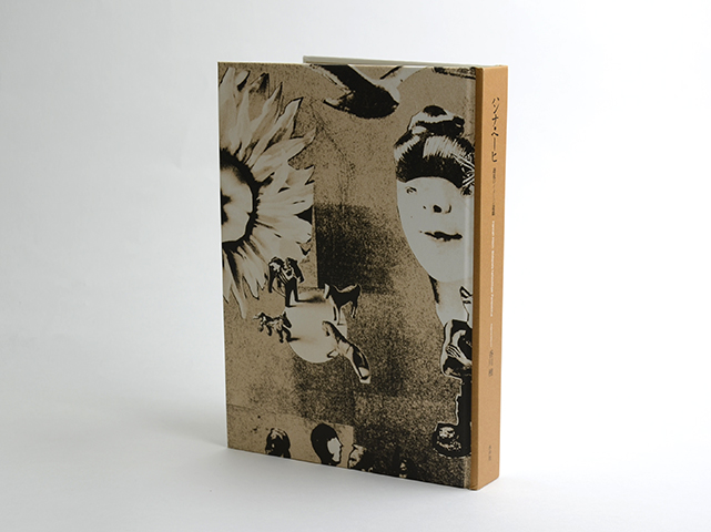 ハンナ・ヘーヒ 透視のイメージ遊戯(香川檀) / 古本、中古本、古
