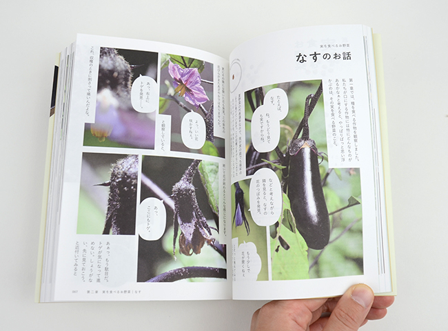 種から種へ 命つながるお野菜の一生｜恵文社一乗寺店 オンライン