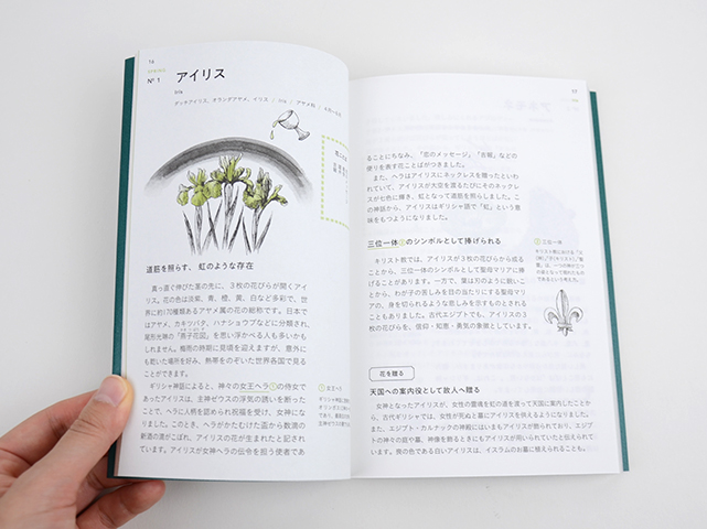 花のことば12ヶ月｜恵文社一乗寺店 オンラインショップ