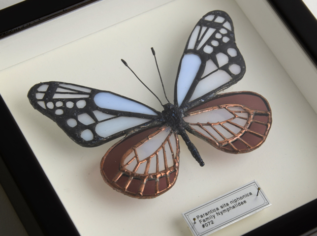 新品 夏・ゼブラアゲハ蝶と朝顔 カナダ・ステンドグラス社　ちょうちょ　あさがお 夏 ゼブラアゲハ蝶と朝顔 カナダ ステンドグラス社 ちょうちょ