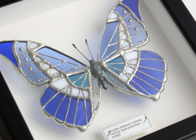 ヘレナモルフォ！標本2 ご予約】西冨なつき ＃085 ヘレナモルフォ｜恵文社一乗寺店