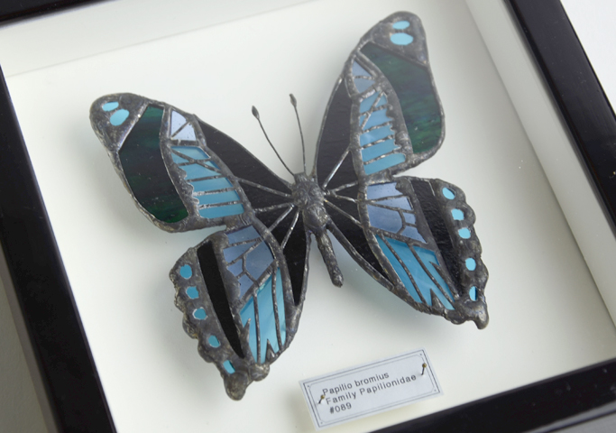 ご予約】西冨なつき ＃089 ブロミウスアオオビアゲハ｜恵文社一乗寺店