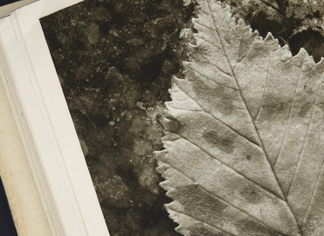 Josef Sudek Fotografie|恵文社一乗寺店 オンラインショップ Josef Sudek Fotografie|恵文社一乗寺店 オンラインショップ